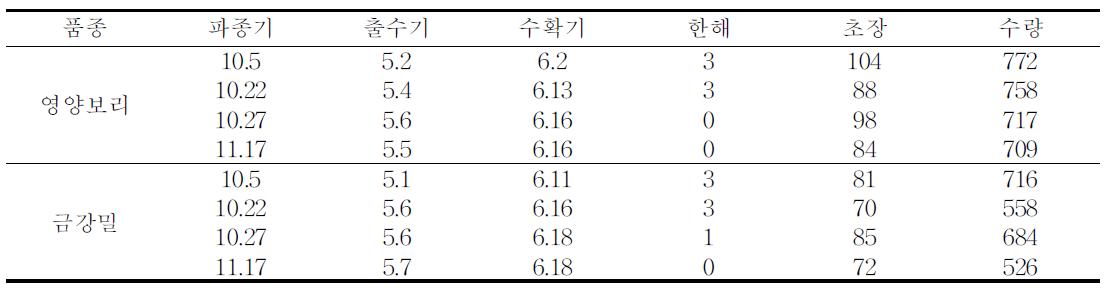 맥류 파종시기별 생육 및 수량성