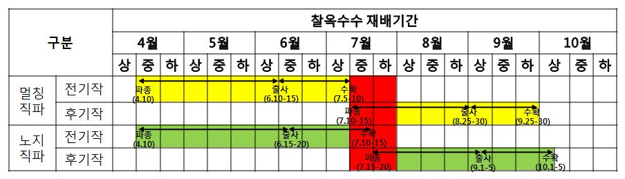 찰옥수수 2기작 작부체계 모델[조생종(찰옥1호) + 중만생종(찰옥4호, 일미찰)]