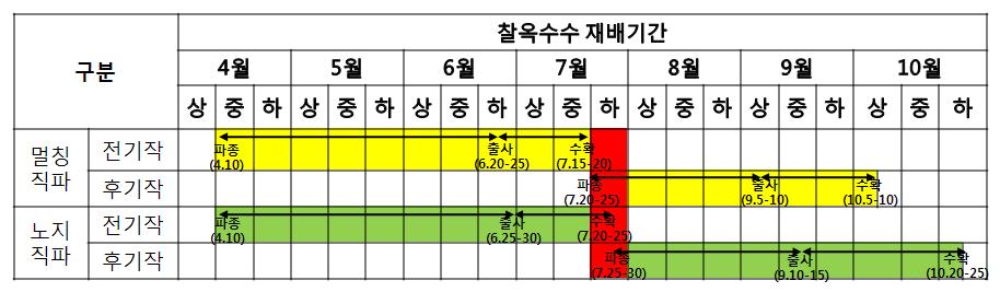 찰옥수수 2기작 작부체계 모델[중만생종(일미찰) + 중만생종(찰옥4호)]