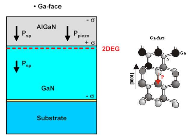 AlGaN/GaN 이종 접합 내부의 built-in 분극 전계