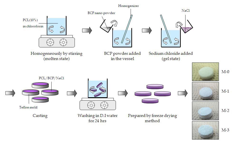 Schematic diagram showing the fabrication process of the PCL/BCP hybrid scaffolds.