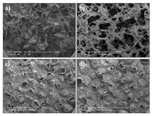 SEM micrographs of the transversal section of the PCL/BCP hybrid scaffolds depending on the BCP content: (a) M-0, (b) M-1, (c) M-2 and (d) M-3.