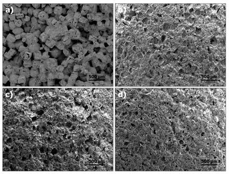 SEM micrographs of the transversal section of the biodegradable PCL/BCP/HPMC hybrid scaffold depending on the HPMC content: (a) PB-H0, (b) PB-H1, (c) PB-H3 and (d) PB-H4.