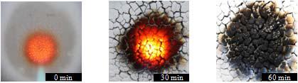 Photographs of the silicone rubber during the flame test.