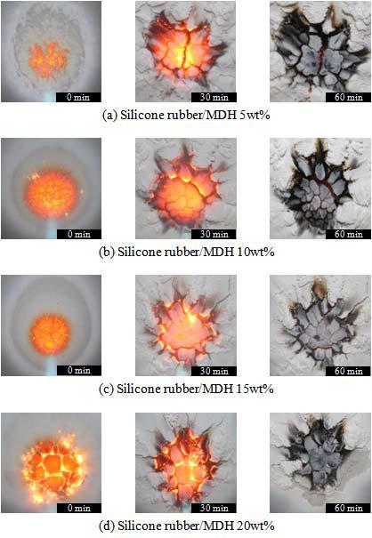 Photographs of the silicone rubber/magnesium dihydroxides composites during the flame test.