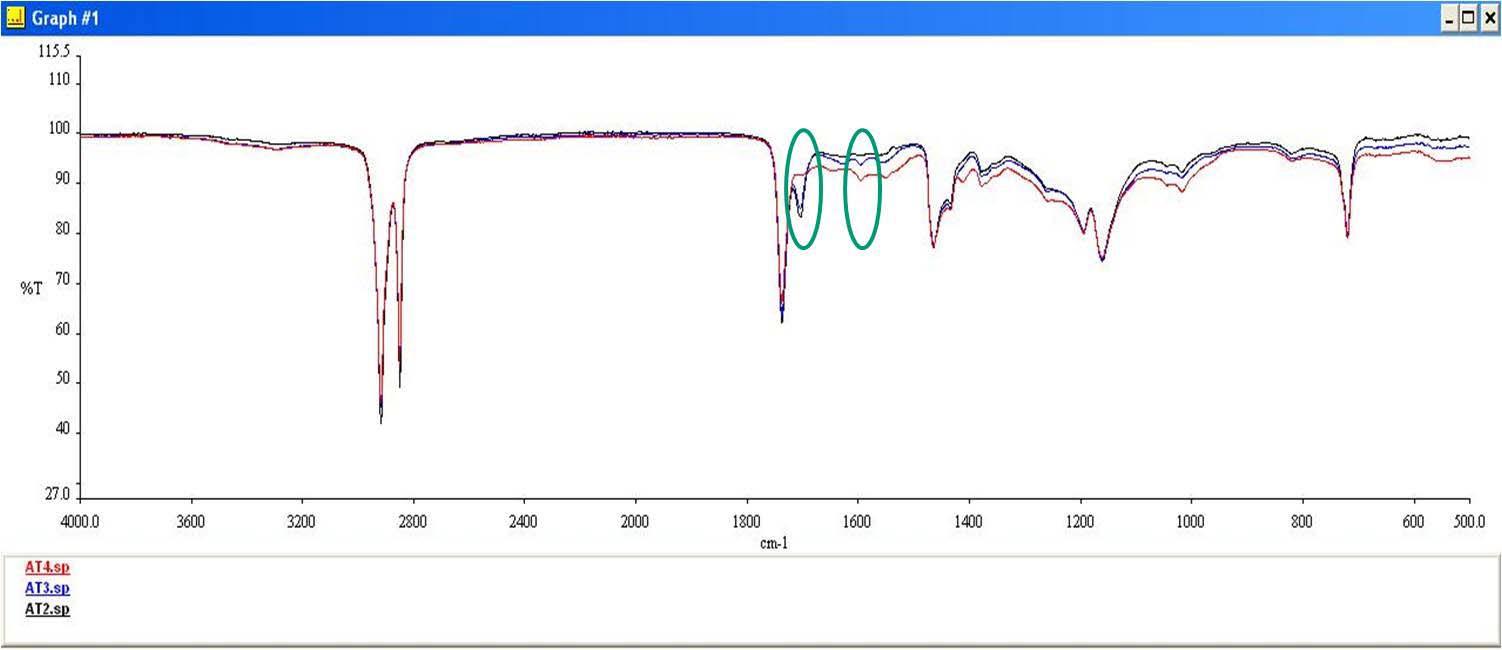 Zn cation 중화도 20%, 30%, 40%의 FT-IR Diagram