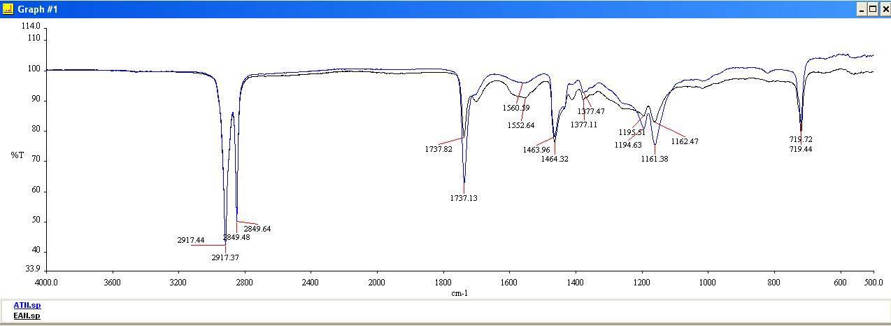 Terpolymeric Ionomer(ATN)와 Terpolymeric / Copolymeric Ionomer(EAN)의 Na cation 중화도 40%의 FT-IR Diagram