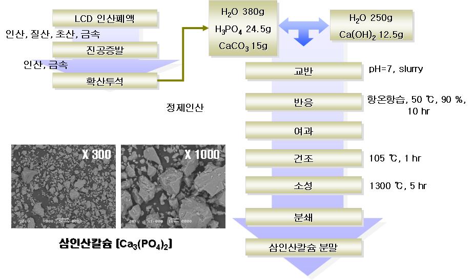 삼인산칼슘 제조공정
