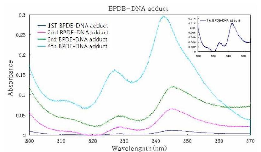 UV spectrophotometer로 측정한 네 종류의 BPDE-DNA adduct