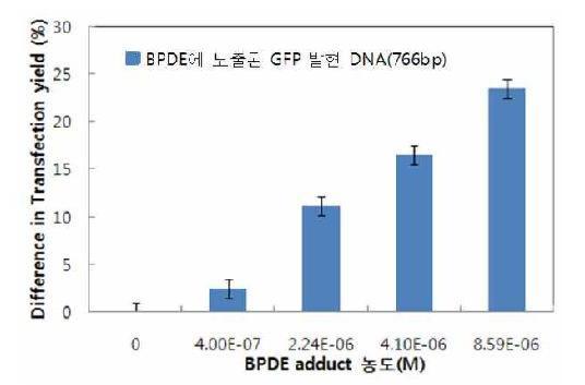 BPDE-DNA adduct의 농도에 따른 대조군 GFP발현률과의 차이