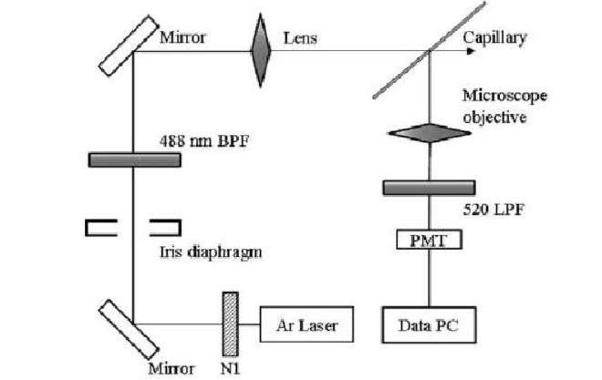 Schematic diagram of LIF detection system