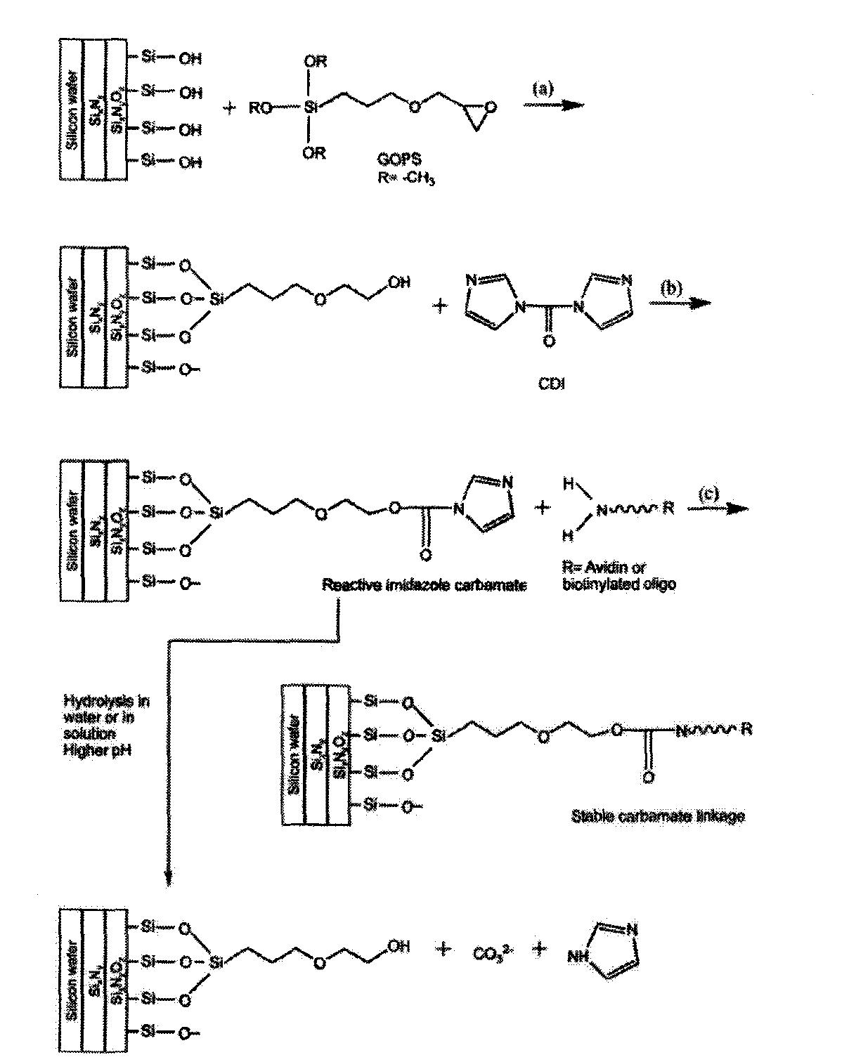 Schematic presentation of the sequence of reactions involved in the oligonucleotide immobilization on silicon wafer surface.