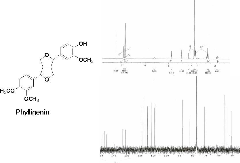 The 1H-NMR and 13C-NMR spectrum of phylligenin.