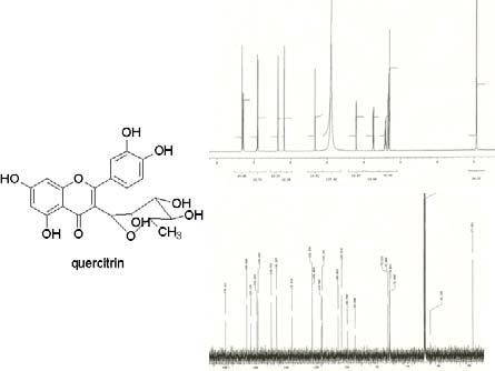 The 1H-NMR and 13C-NMR spectrum of quercetrin .
