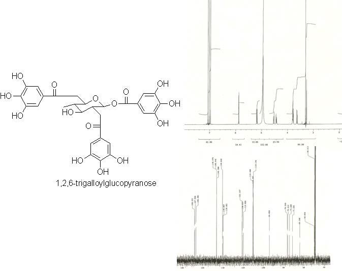 The 1H-NMR and 13C-NMR spectrum of 1,2,6-trigalloylglucopyranoside.