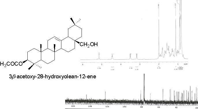 The 1H-NMR and 13C-NMR spectrum of 3β-acetoxy-28-hydroxyolean-12-ene.