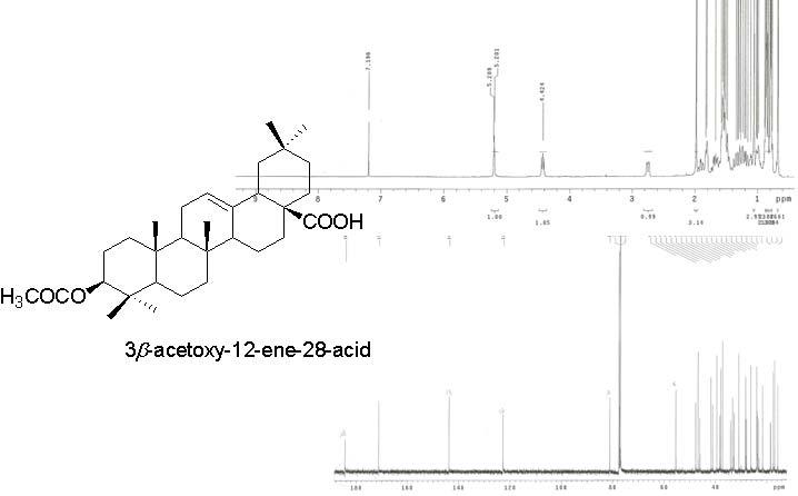 The 1H-NMR and 13C-NMR spectrum of 3β-acetoxy-12-en-28-acid.