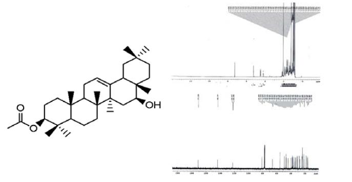 The 1H-NMR and 13C-NMR spectrum of compound 1.