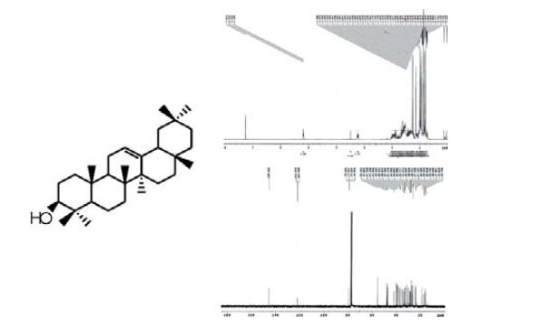 The 1H-NMR and 13C-NMR spectrum of compound 2.