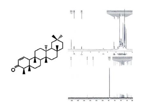 The 1H-NMR and 13C-NMR spectrum of compound 7.