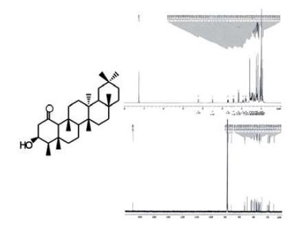 The 1H-NMR and 13C-NMR spectrum of compound 8.