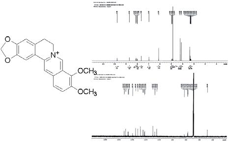 The 1H-NMR and 13C-NMR spectrum of berberine.