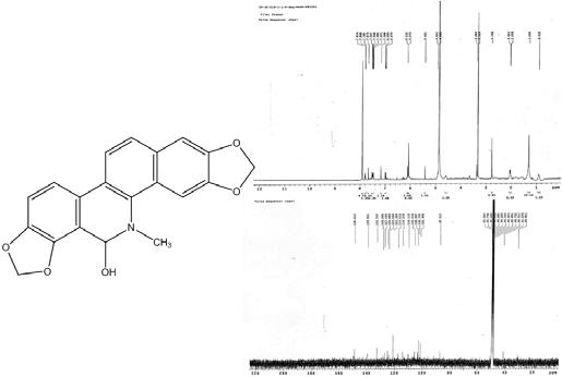 The 1H-NMR and 13C-NMR spectrum of 8-hydroxydihydrosanguinarine.