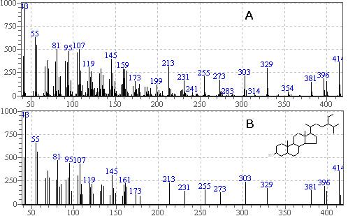 Mass spectra of compound 1(A) isolated from Dipsacus asper roots and library search β-sistosterol(B).