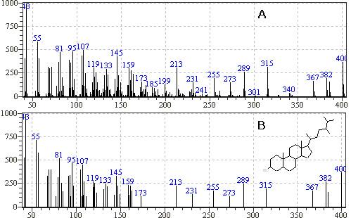 Mass spectra of compound 2(A) isolated from Dipsacus asper roots and library search campesterol(B).