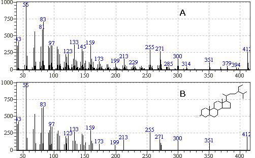 Mass spectra of compound 3(A) isolated from Dipsacus asper roots and library search stigmasterol(B).