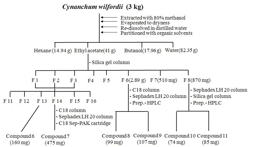 Extraction and isolation of compounds from Cynanchum wilfordii roots.