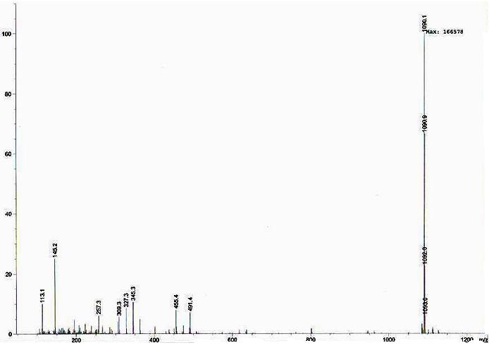 ESI-mass spectrum of compound 6 from Cynanchum wilfordii obtained by positive ion mode.