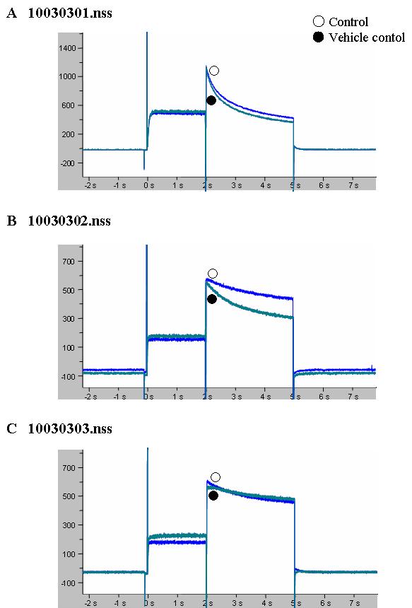 Effects of the Normal Tyrode solution contained DMSO 0.1% by volume (Vehicle control) on hERG current