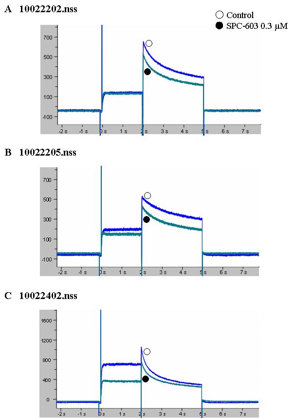 Effects of A668 at a Concentration of 0.3 μM on hERG current