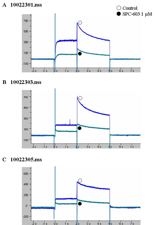 Effects of A668 at a Concentration of 1 μM on hERG current