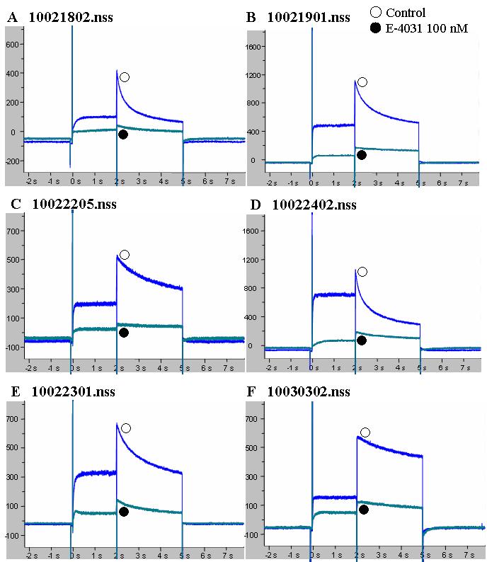 Effects of E-4031 at a Concentration of 100 nM on hERG current