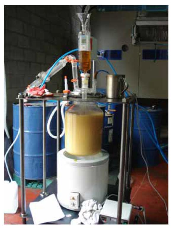 Pictures of glass reactors (20 Kg) for pilot test of isocyanation reaction for carbamates investigated.