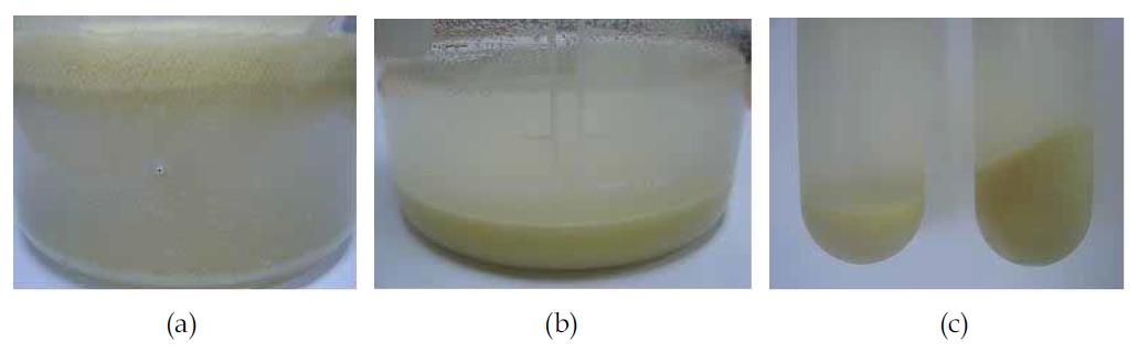 Separation of glass fibers from powders of GF-PUR in methanol or water: (a) methanol; (b) water; (c) after centrifugation with water.