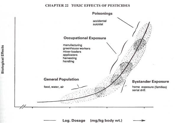 A theoretical dose-effect relationship for acute toxicity comparing the potential for exposure in terms of occupation, level of exposure, and possible biological effects