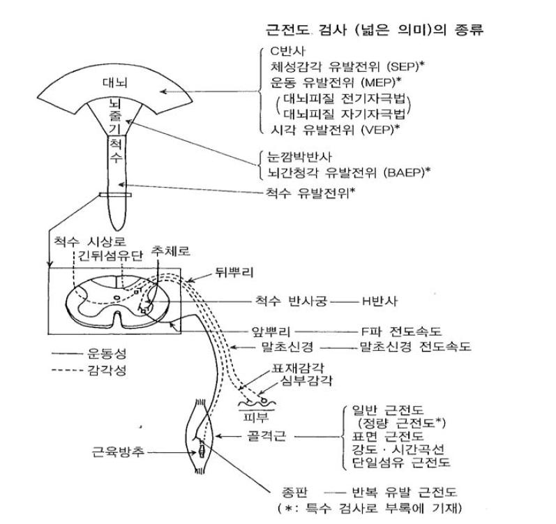 해부와 검사 항목의 관계