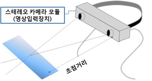 스테레오 영상 입력 장치의 모식도