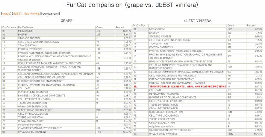 공개된 Vitis vinifera와 원예연구소 grape데이터의 FunCat 비교표
