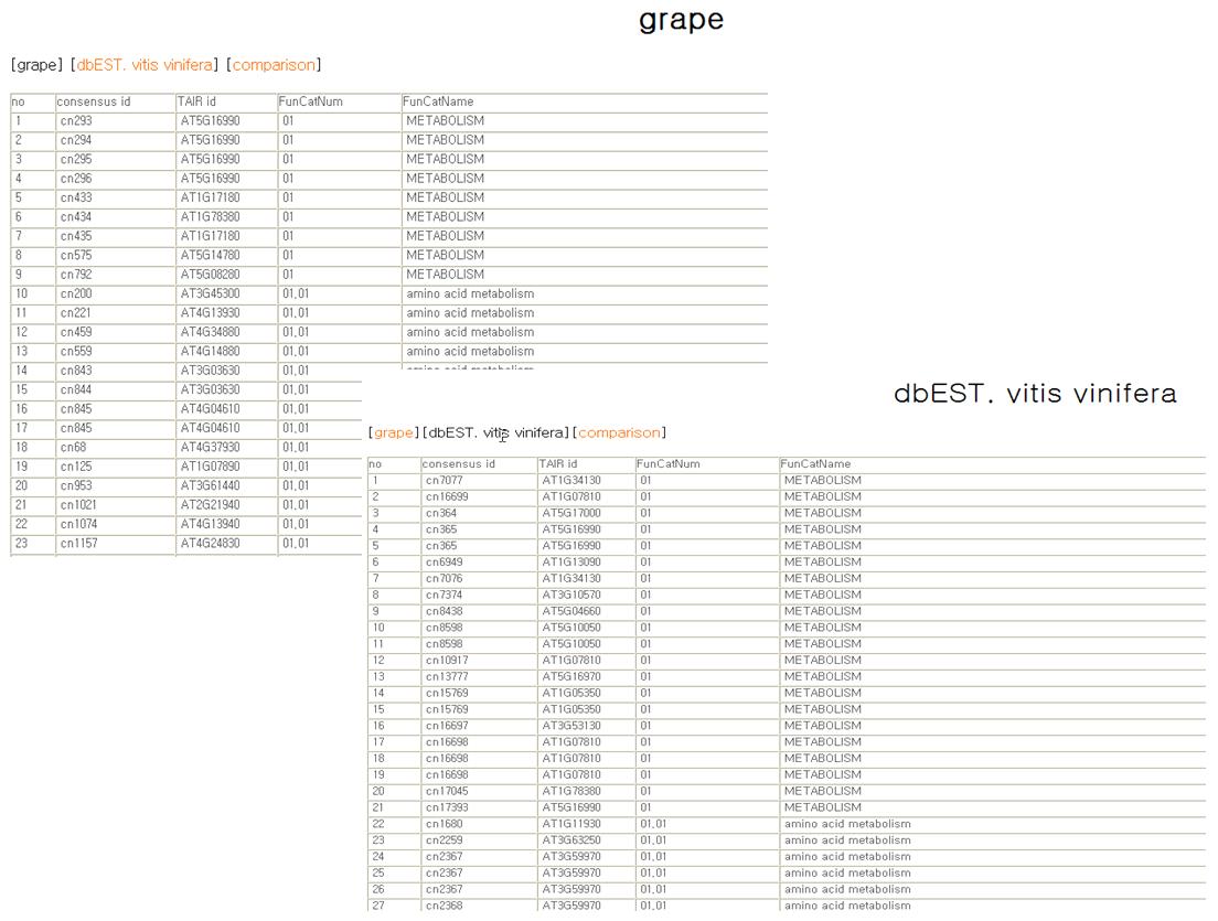 공개된 Vitis vinifera와 원예연구소 grape데이터 각각의 FunCat 분석 표