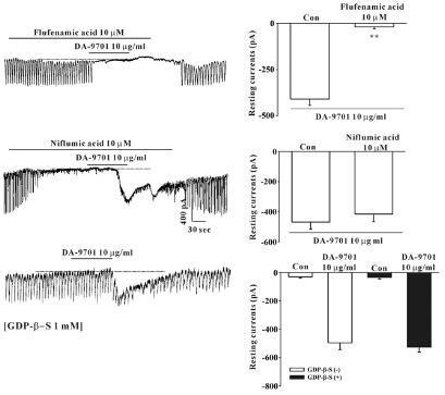 Effects of flufenamic acids, a non-selective cation channel blocker, or niflumic acid, a Cl- channel blocker, and GDP-b-S DA-9701 on pacemaker potentials and pacemaker currents recorded in cultured ICC from murine small intestine. (A) shows the pacemaker potentials of the ICC exposed to DA-9701(10 ug/ml) in the current clumping mode(l = 0). (B, C, and D) show the pacemaker currents of the ICC recorded at a holding potential of -70 mV exposed to various concentration of DA-9701(1, 5, and 10 ug/ml). Dotted lines indicated zero current levels. Responses to DA-9701 are summarized in (E), (F), and (G). Bars represent mean values ± SE. **(P < 0.01) significantly different from the untreated control. Con, Control.