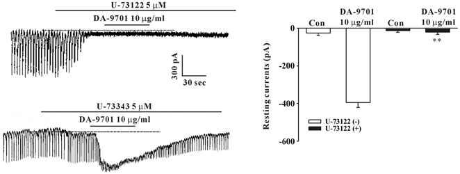 Effects of DA-9701 on phospholipase C in cultured ICC (A) U-73122(5 μM), a phospholipase C inhibitor, abolished the generation of pacemaker currents by DA-9701. (B) U-73122 blocked the DA-9701 induced(10 μg/ml) tonic inward currents. (C) The application of U-73343(5 μM) did not show any influence on the generation of pacemaker currents. Also, U-73343 did not block the DA 9701 induced tonic inward currents. The dotted lines indicate the zero current levels. BArs represent the mean values ± SE. **(p<0.01) significantly different from the untreated control. Con, Control.