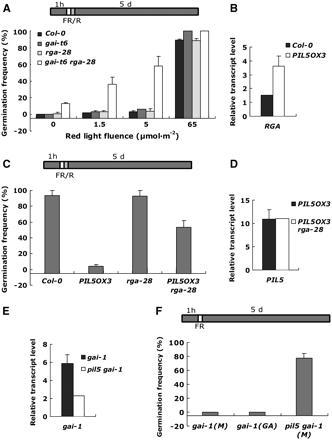 PIL5-Mediated Transcriptional Regulation of GAI and RGA Is Functionally Significant for the Regulation of Seed Germination by Light.