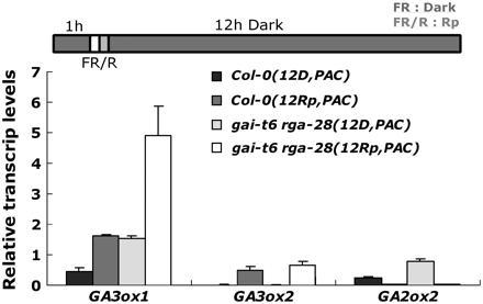 Light Regulates GA Metabolic Genes Both Dependently and Independently of GAI and RGA.