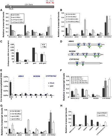 PIL5 Indirectly Regulates the Expression of ABA Metabolic Genes.