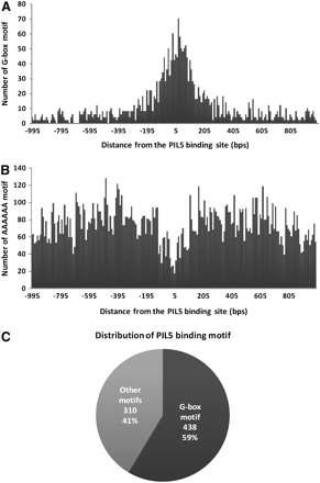 PIL5 Binds to the G-Box Motif in Vivo.