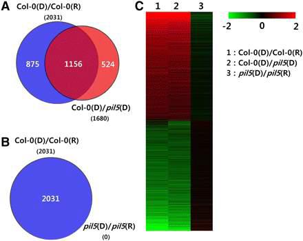 PIL5 Mediates Red Light Signaling in Imbibed Seeds.